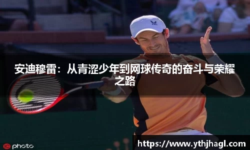 安迪穆雷：从青涩少年到网球传奇的奋斗与荣耀之路